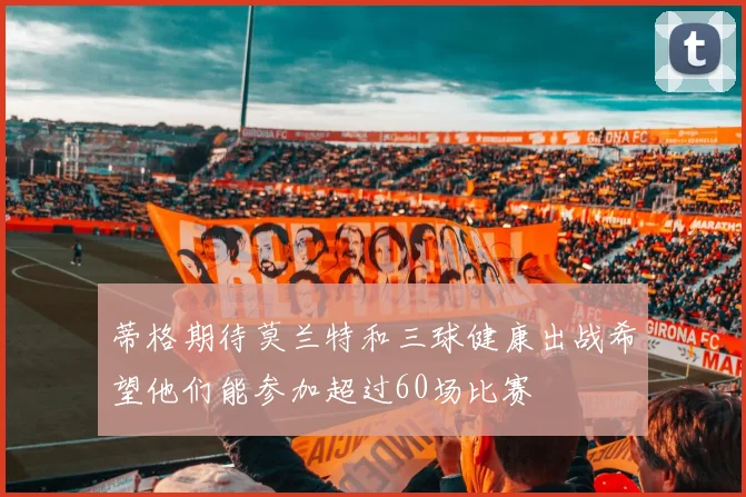 蒂格期待莫兰特和三球健康出战希望他们能参加超过60场比赛