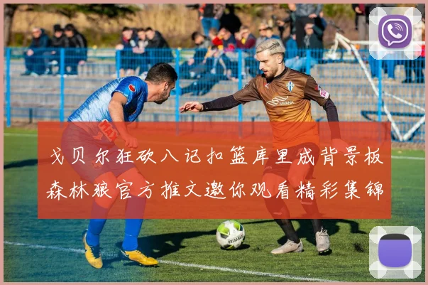 戈贝尔狂砍八记扣篮库里成背景板森林狼官方推文邀你观看精彩集锦