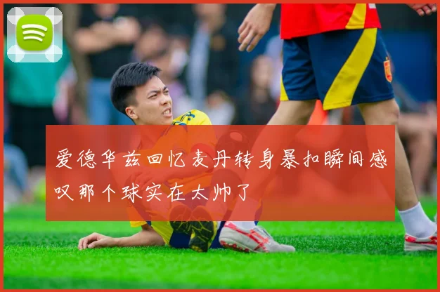 爱德华兹回忆麦丹转身暴扣瞬间感叹那个球实在太帅了