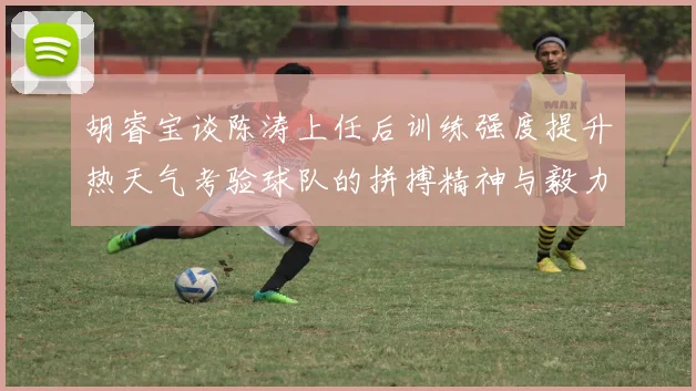 胡睿宝谈陈涛上任后训练强度提升热天气考验球队的拼搏精神与毅力